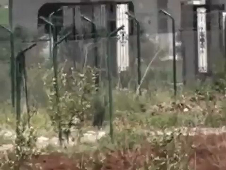 فري برس درعا الحراك اقتحام المدينة بالمدرعات 24 4 2012 Daraa