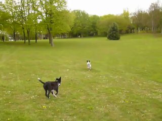 Rien ne sert de courrir...