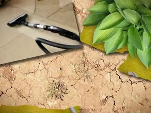 AAA Cleanco Palm Desert - (760) 879-0175