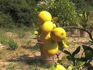Bleu Le Jour : cosmétiques écologiques