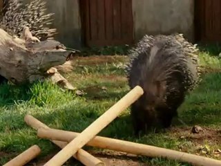 Nouveau Départ Extrait 4 VF HD