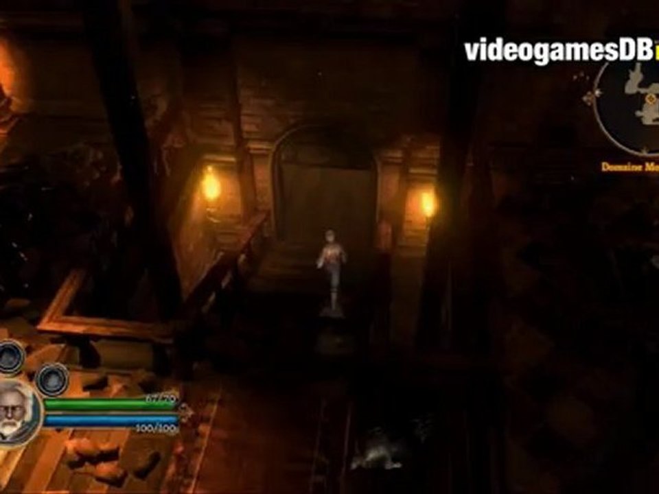 Dungeon Siege III