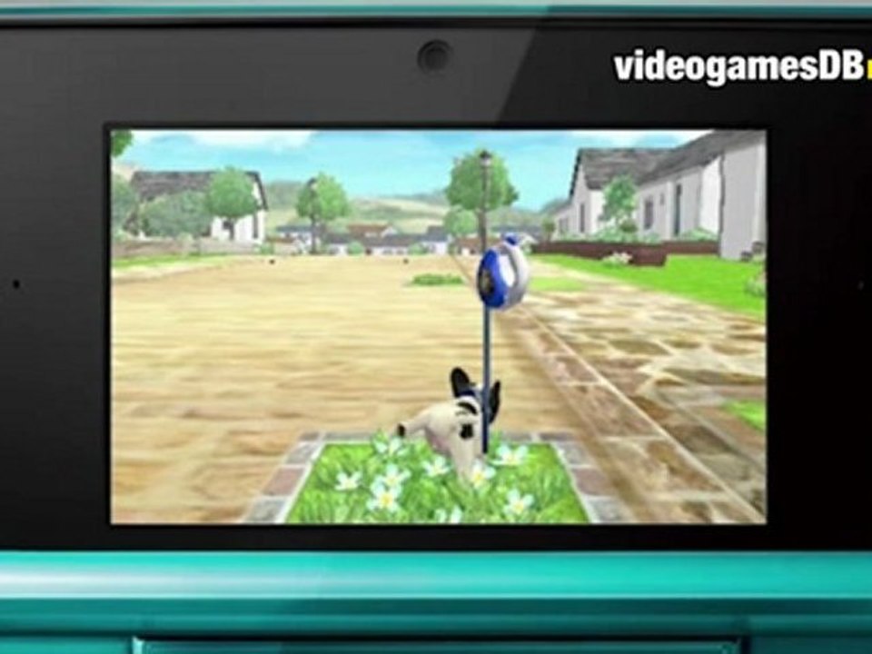 Nintendogs + Cats