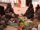 Carestia nel sud del Sahara, il Ciad il più colpito