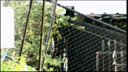 USA - Il Generale McChrystal arriva alla Casa Bianca