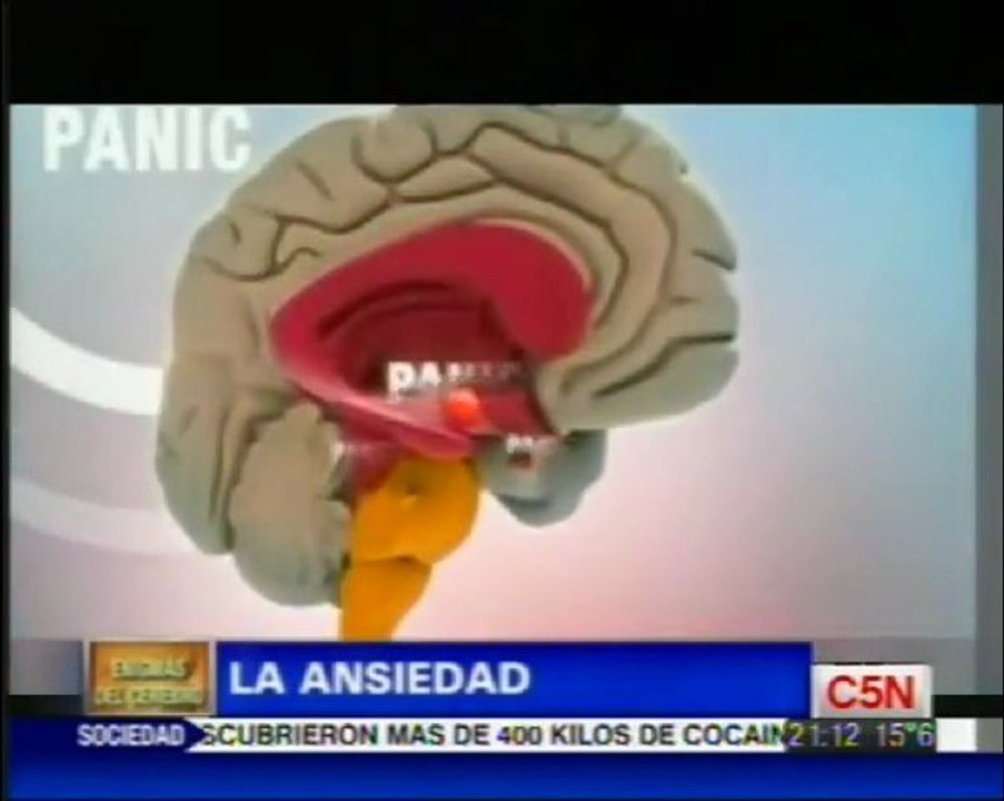 La ansiedad (Facundo Manes)