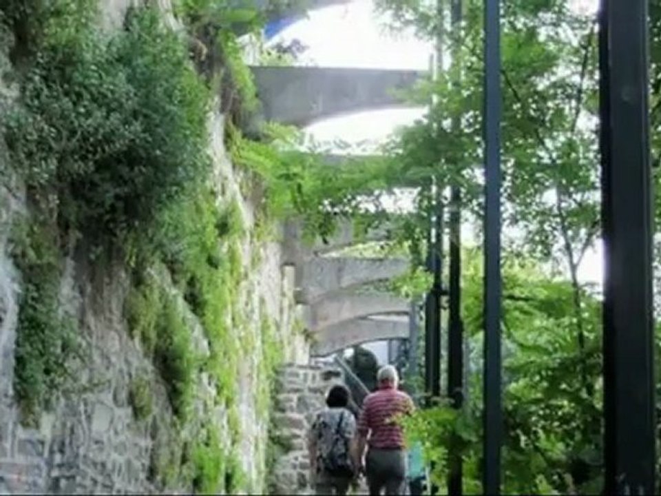 Halil Erdogan Stupeflix