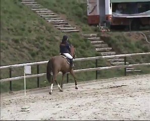 UNE ROSE BEGNY 24 Avril 2012 Yssingeaux CC 4 ans formation