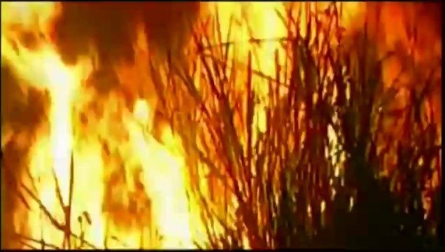 Brasile - Incendi in Amazzonia