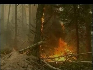 Russia - Continuano gli incendi