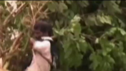 India - Inondazioni nel distretto di Karnal