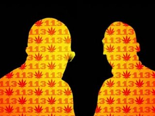 113 - DEMAIN J'ARRÊTE [CLIP OFFICIEL] HD