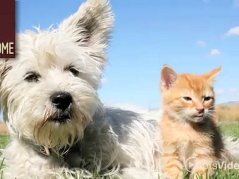 Radius Apartments in Newport News, VA - ForRent.com