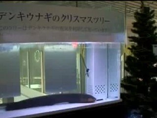 Riz Khan Street Talk - 17 Dec 07