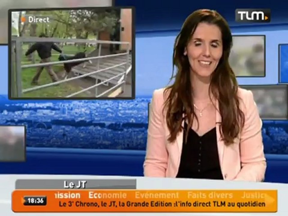 Un troupeau de chèvres à Miribel-Jonage ‎(Lyon)