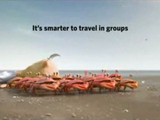 Travel in Groups (It's Safer) bonno van der putten