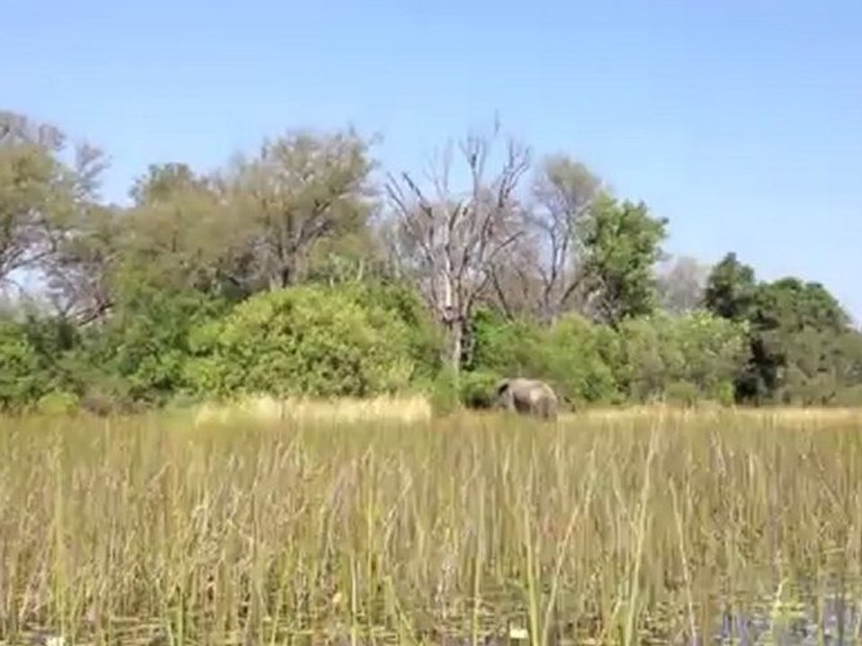 Okavango Delta