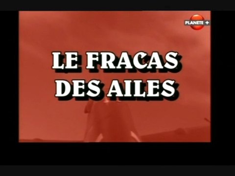 Le fracas des ailes (La deuxième guerre mondiale vue du ciel - Le bluff)