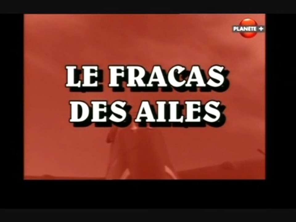 Le fracas des ailes (La deuxième guerre mondiale vue du ciel - Le bluff)