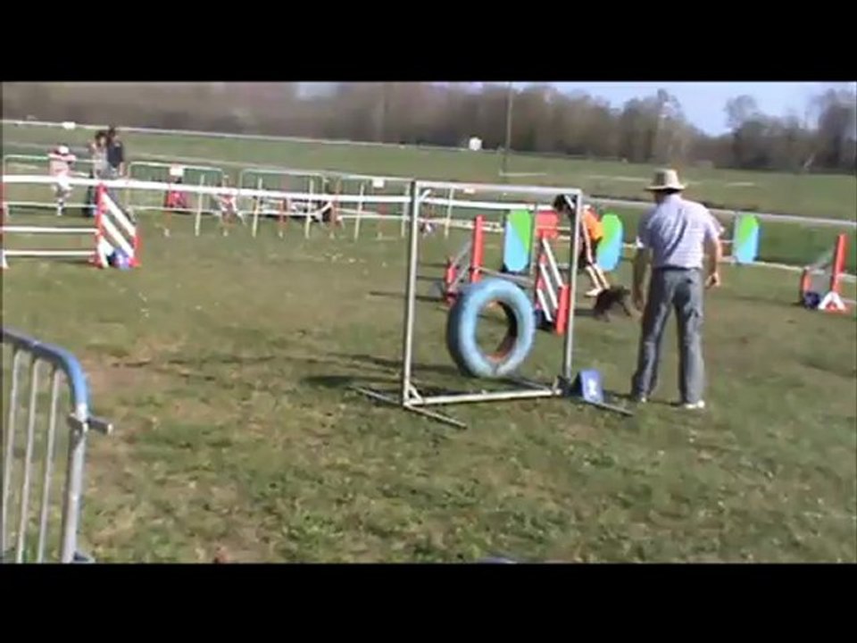 Carla & City Concours Agility à Montignac le 25 Mars 2012