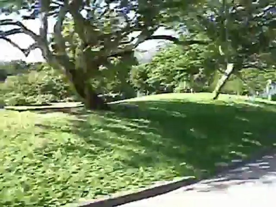 Gabriela Skate