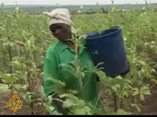 Zimbabwean farmers face tough times - 26 March 08
