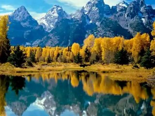 St Preux Your hair -