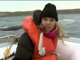 South America fights commercial whaling - 29 June 2008