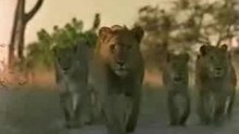 Africa [from www.metacafe.com]