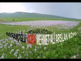 şahe bedo Çavreşamın - Doğunun incisi serhat   Ardahan Mehmetaliarslan köyü
