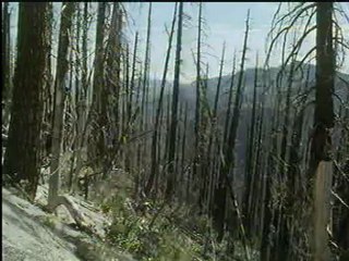 2.Dünya savaşının sırları -  (13)