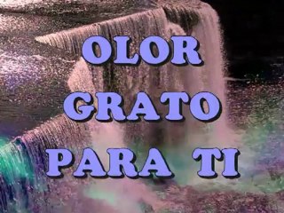 Adorarte(480p_H.264-AAC)