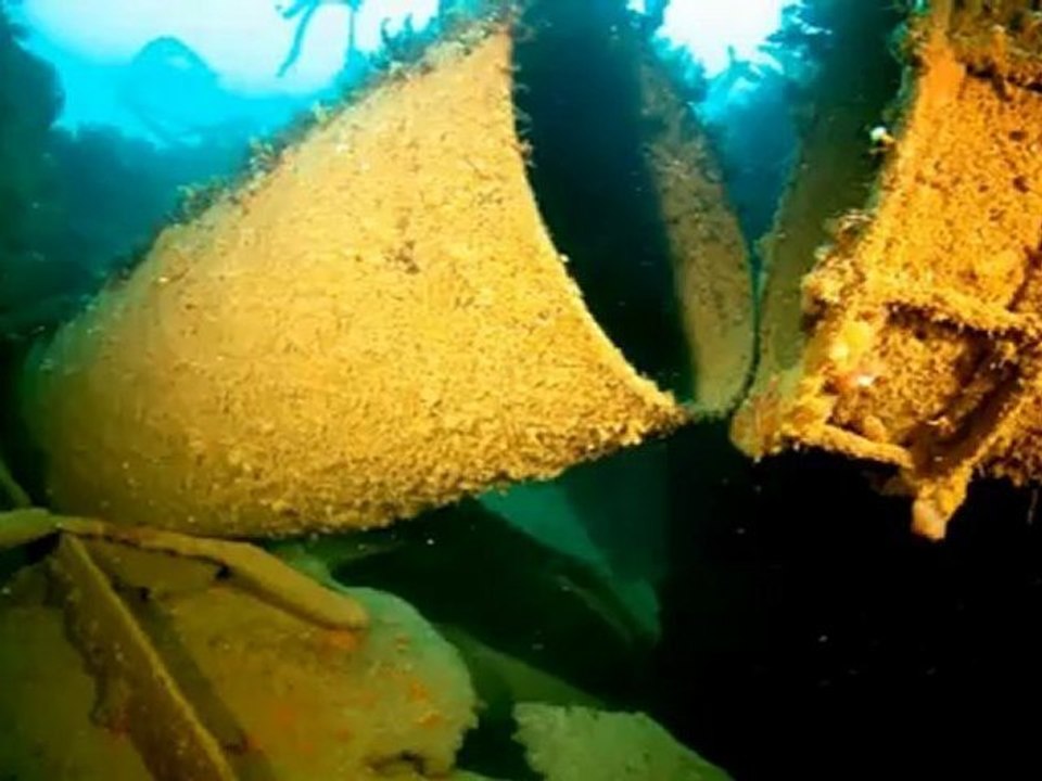 Transport Maritime - Ocean Report