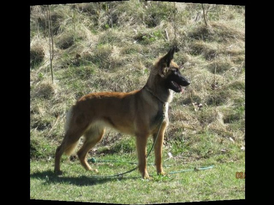 Slideshow3