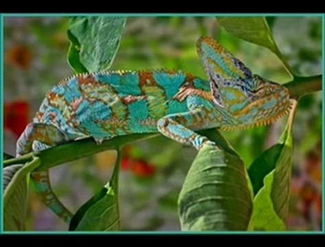 RUHUNU DİNLENDİR Soner GENEL