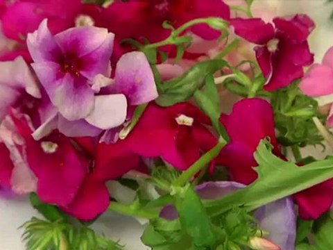 Riziculteur en Camargue - Le riz bio - Web TV de Jean-Luc Rabanel