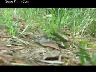 trung_hoa_de_nhat_bep_dvdrip_10.mpg_1