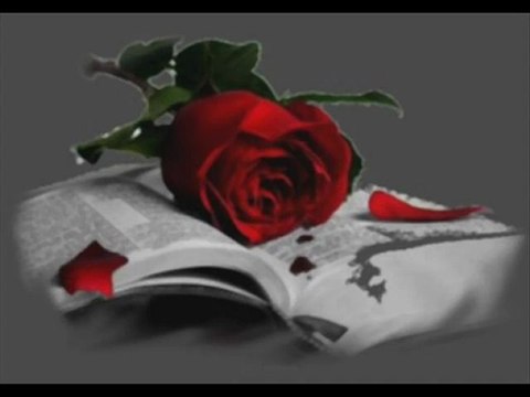 BEN SENİ UZAKLARDA YASAKLARDA SEVDİM GÜLÜMM