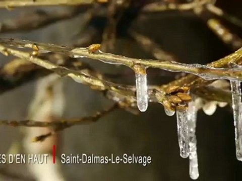 Vies d'en Haut St Dalmas Le Selvage