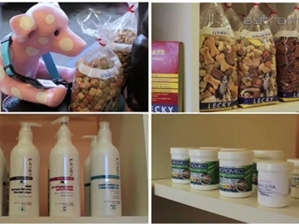 Hundesalon St. Gallen Picasso