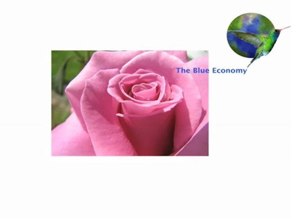 The Blue Economy - Innovation No.13: Bacterial Control blocking 'Gunter Pauli'