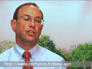 La sanction de l'autorité de concurrence sur les producteurs d'endives par Thierry Lemaître