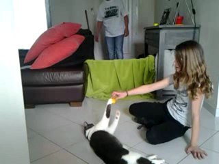 chat qui saute épisode 2