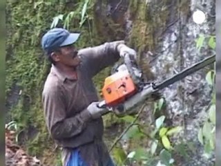 Brazil's Congress passes divisive new forest law