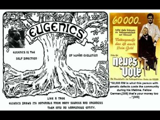 Social Darwinism Leads to Mass Murder
