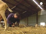 EU targets 'sofa farmers'