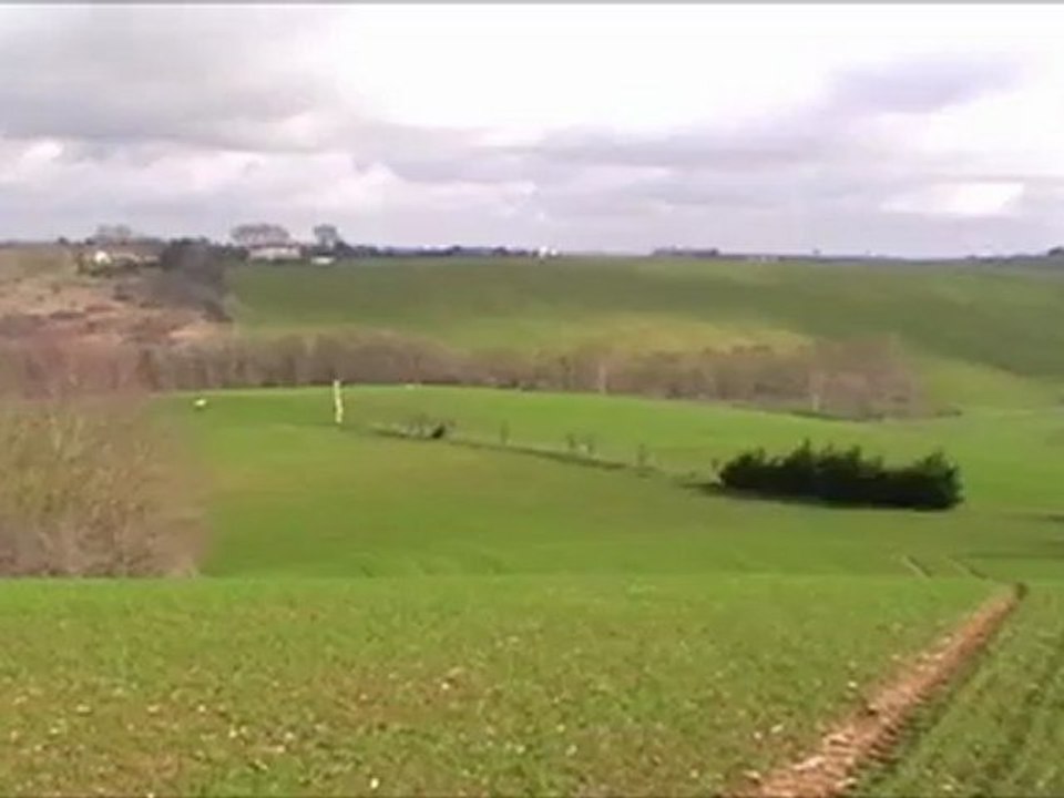 A la recherche du capucin