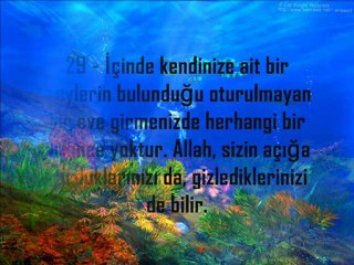 Nur Suresi ( Zina İle İlgili Ayetler )