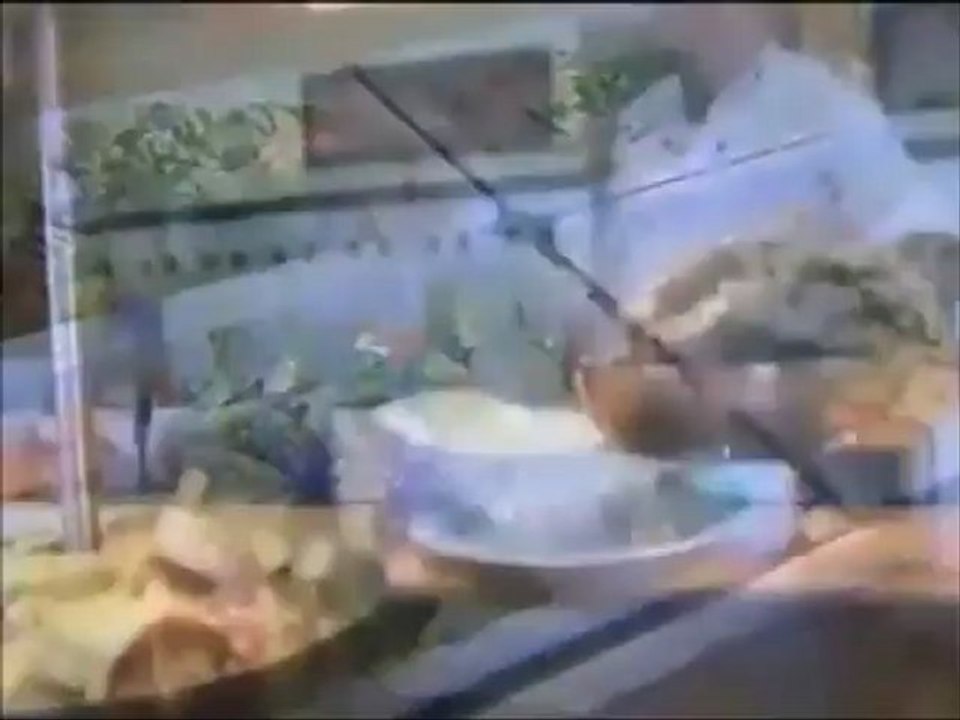 Presentación PANAVISION_PARTE1