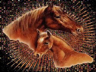 NOS AMIS LES ANIMAUX PAR MIMIE 2159